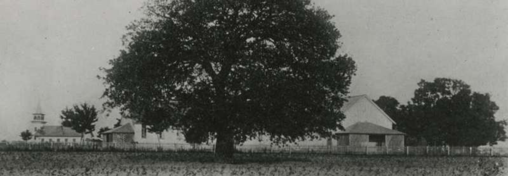 Celebrating the Power of Black Education, Labor — and History